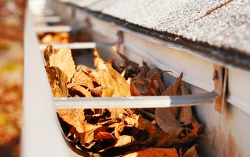 Rogate gutter cleaning companies