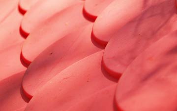 Rogate plastic roof costs