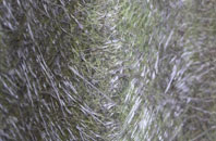 Rogate fibreglass roof work